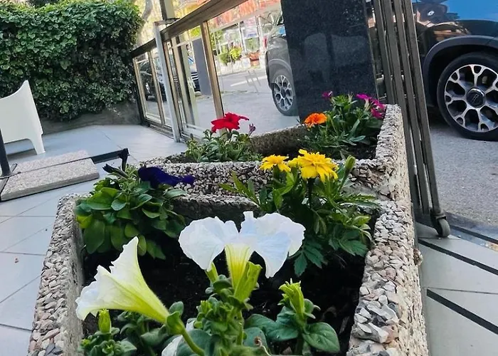 Pamela Bed & Breakfast Rimini